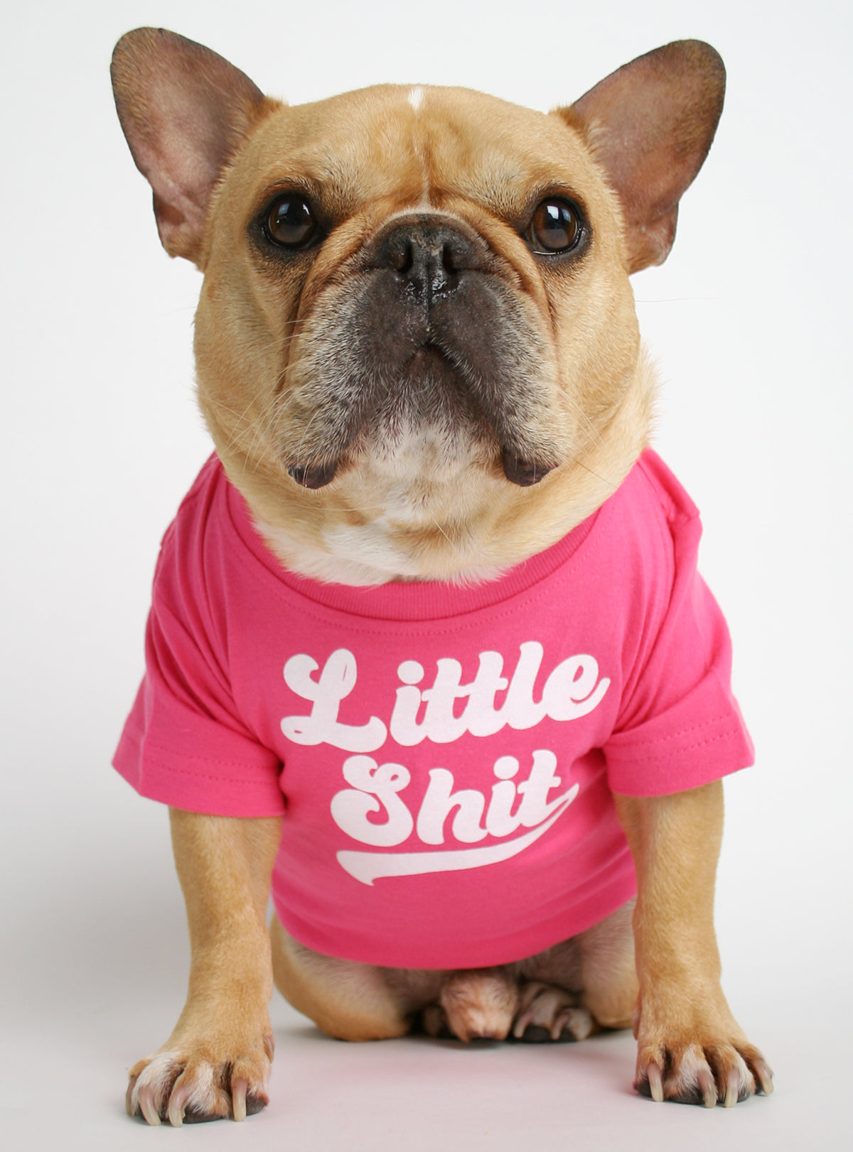 Little Shit Dog Tee