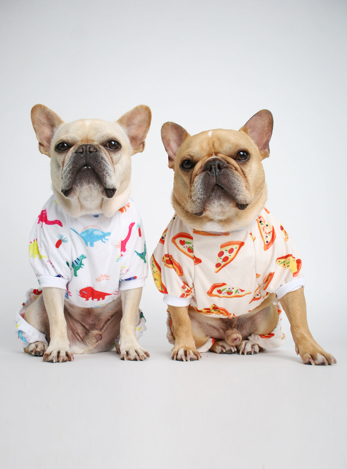 Dinosaur Dog Pajama Jumpsuit