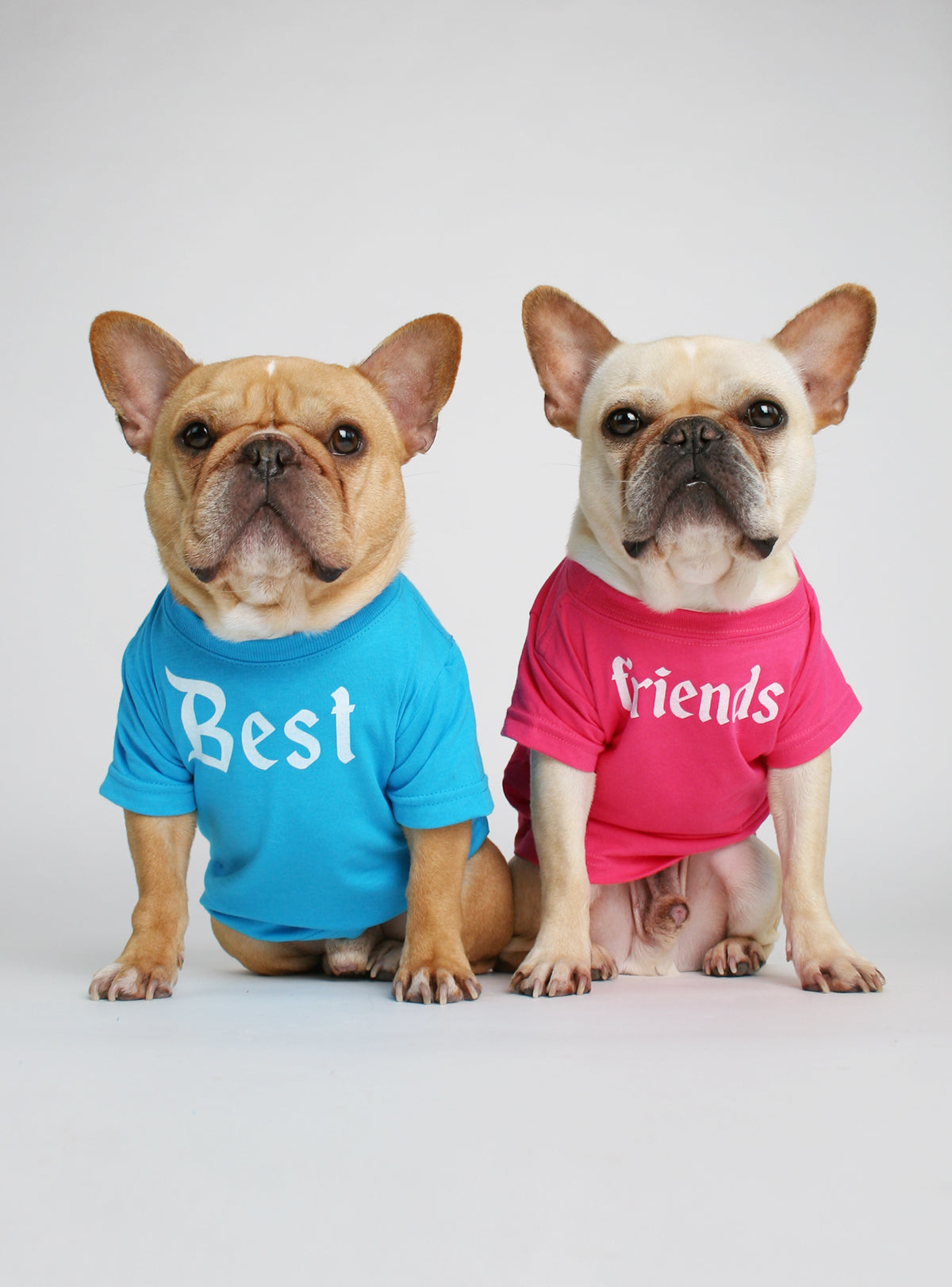 Best Friends (2-Pack) Dog Tee