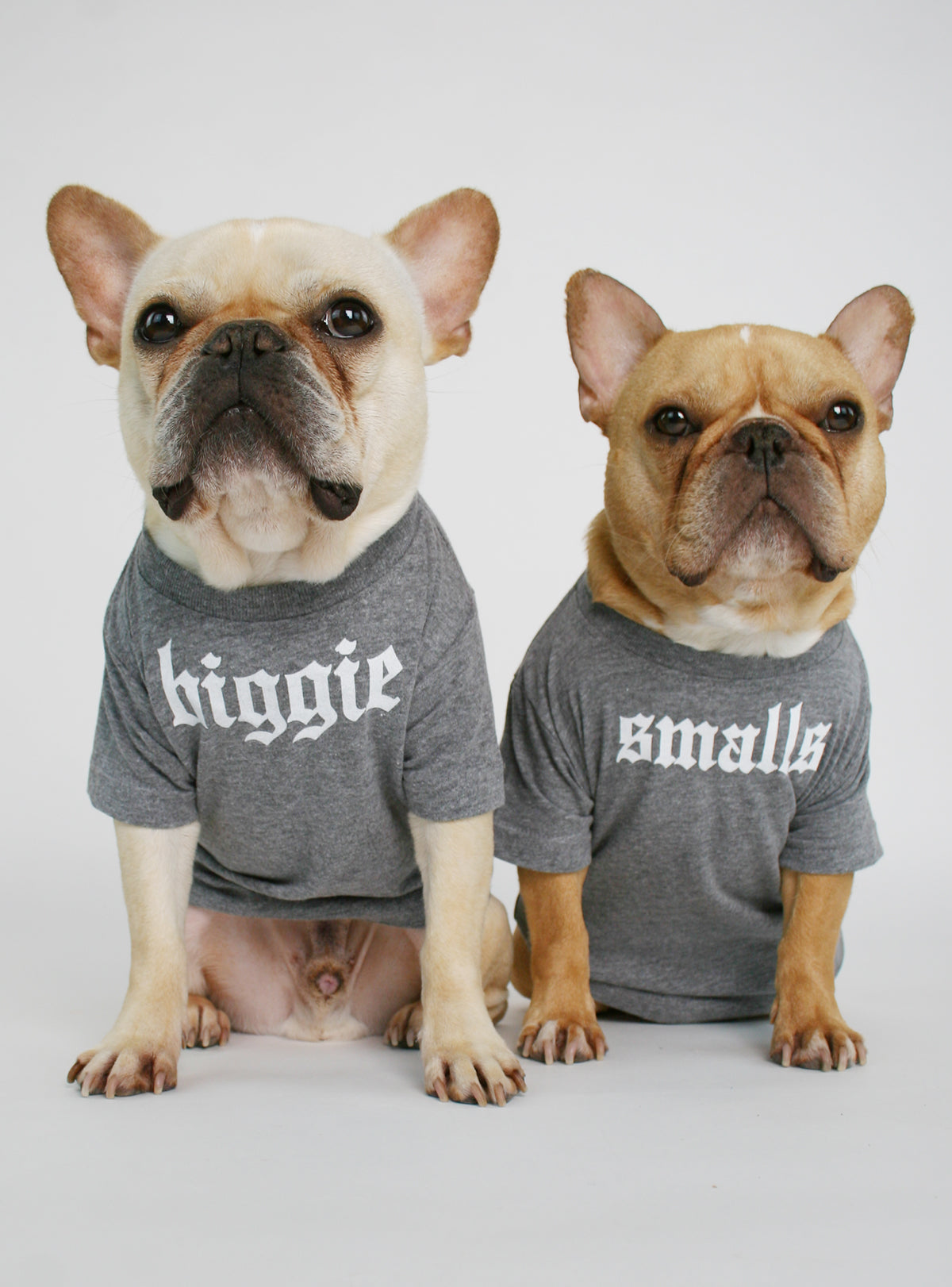 Biggie Smalls (2-Pack) Dog Tee