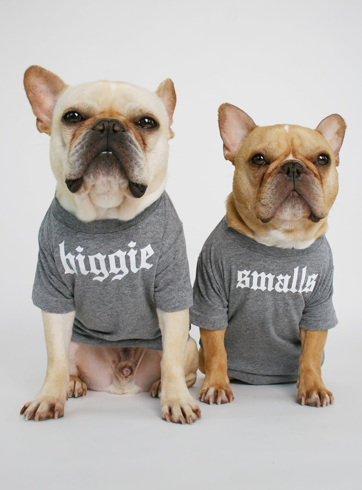 Biggie Smalls (2-Pack) Dog Tee