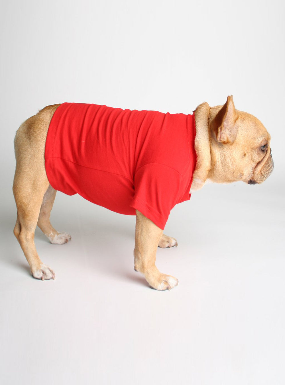 Breakin&#39; Hearts &amp; Blastin&#39; Farts Dog Tee