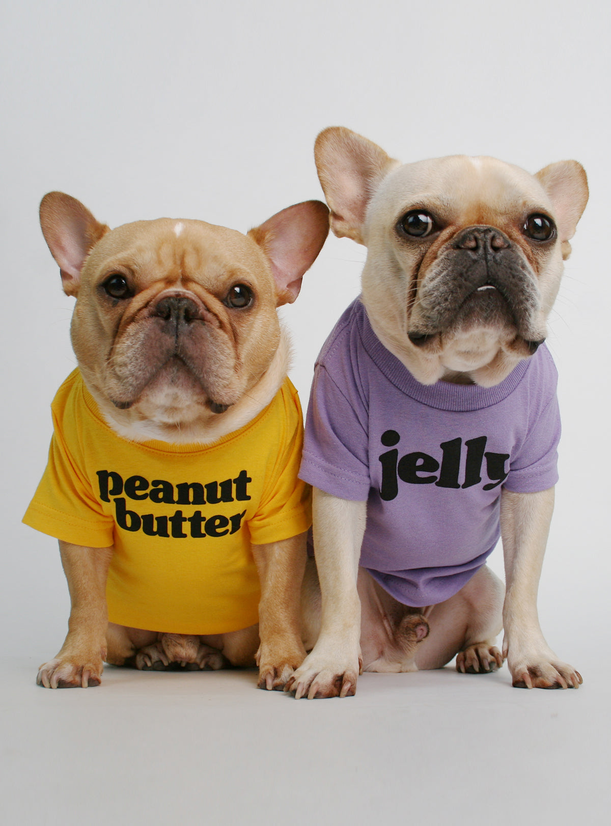 Jelly Dog Tee