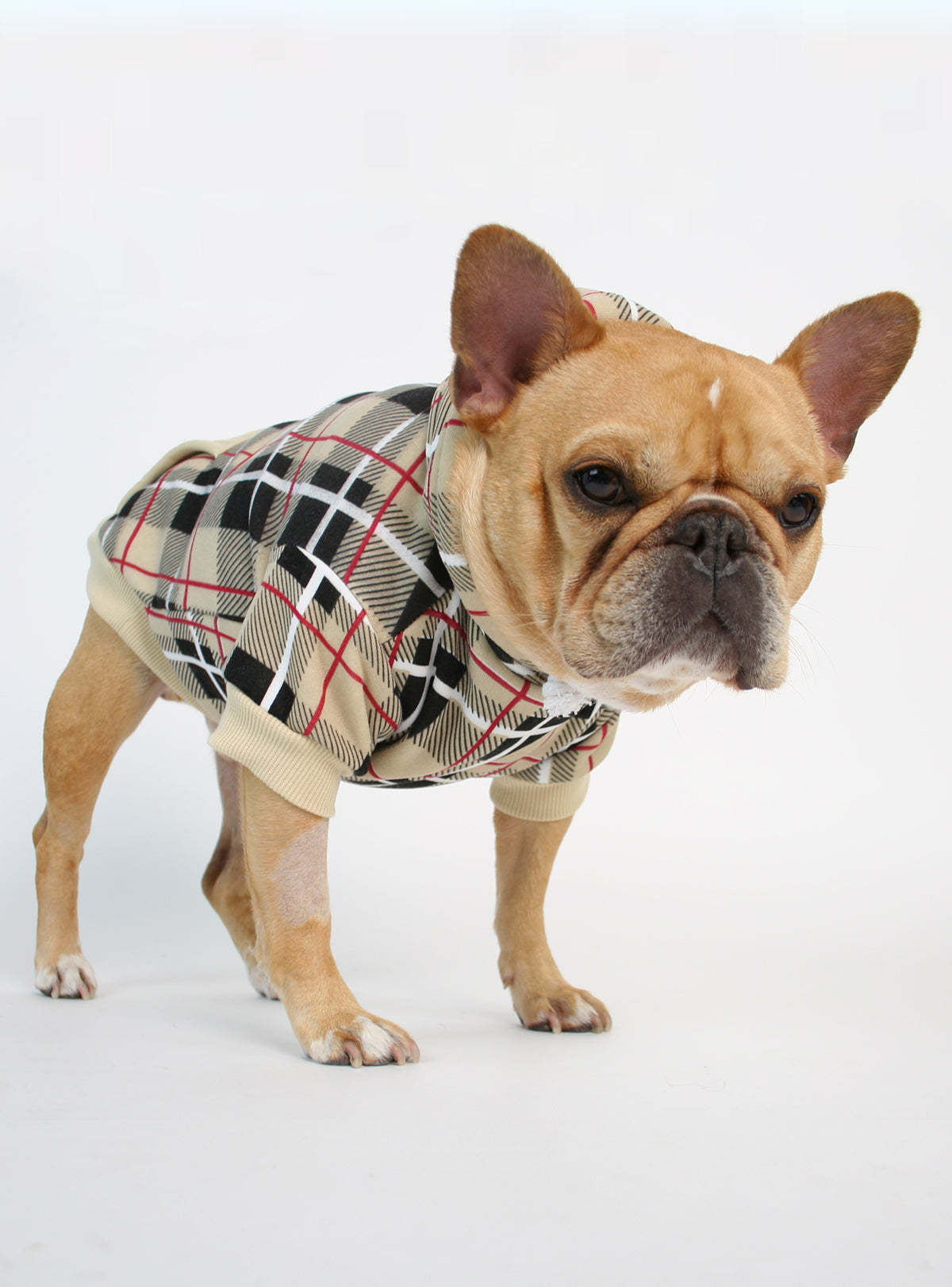 The London Dog Hoodie