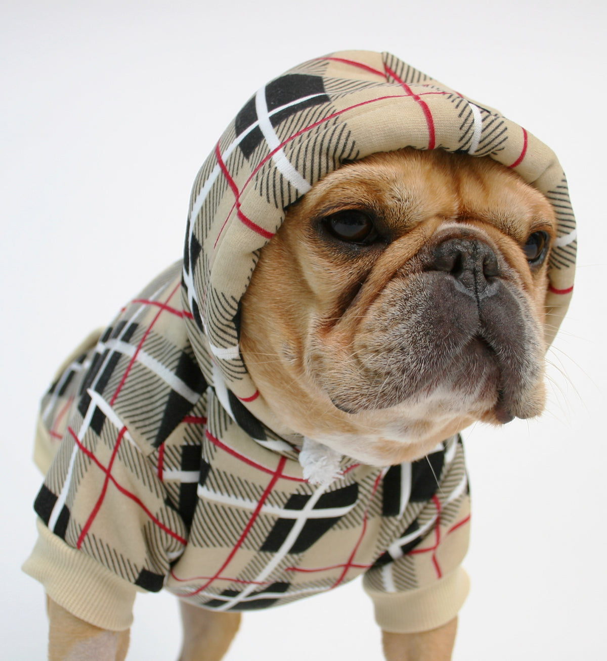 The London Dog Hoodie