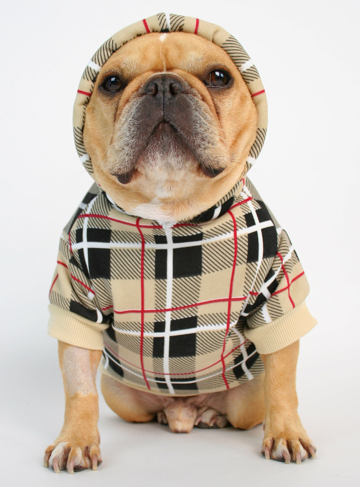 The London Dog Hoodie