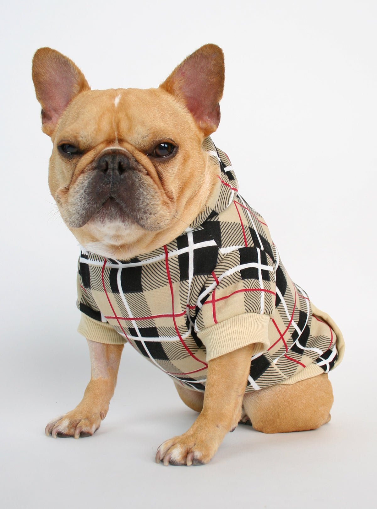 The London Dog Hoodie