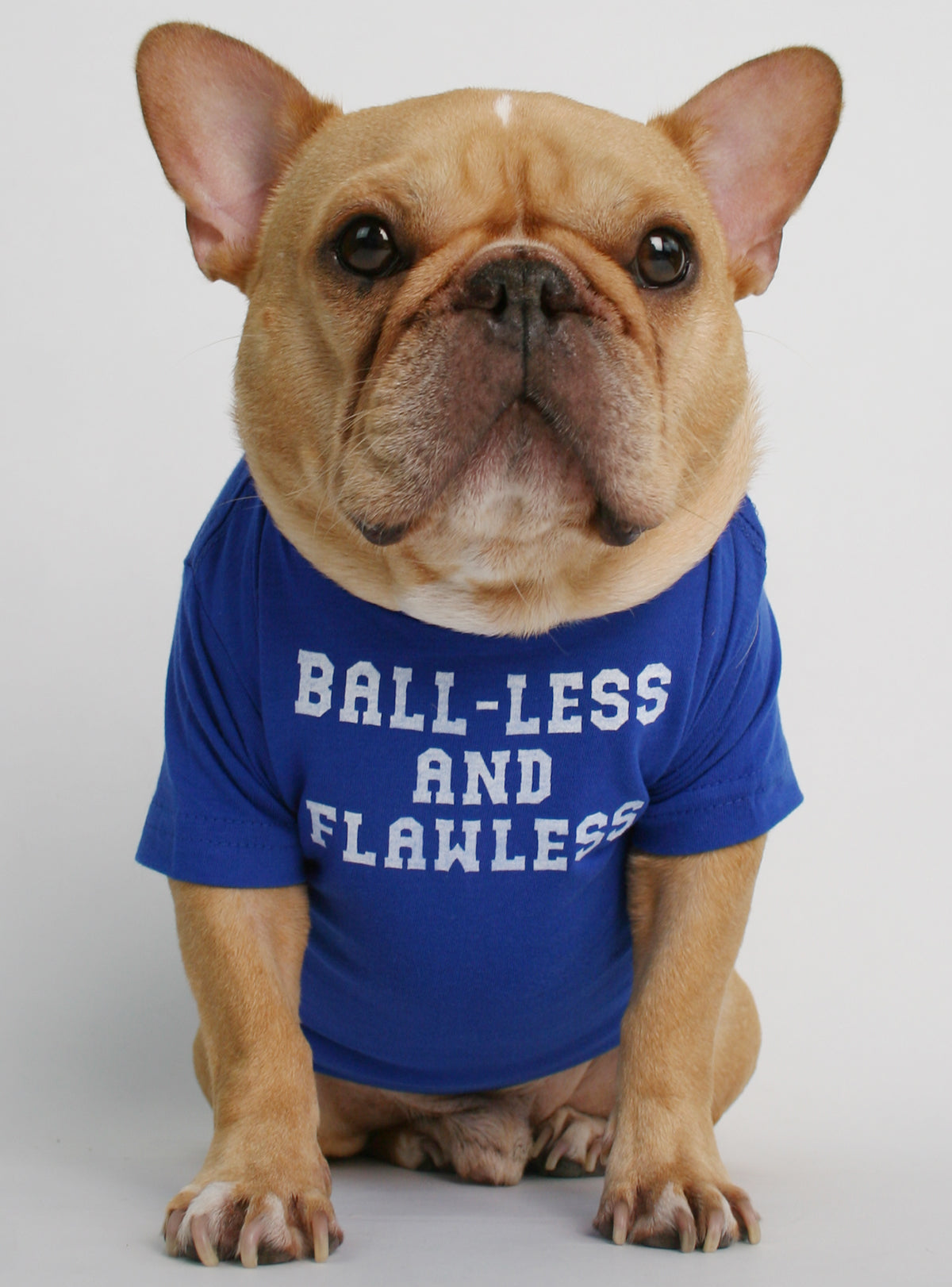 Ball-less And Flawless Dog Tee