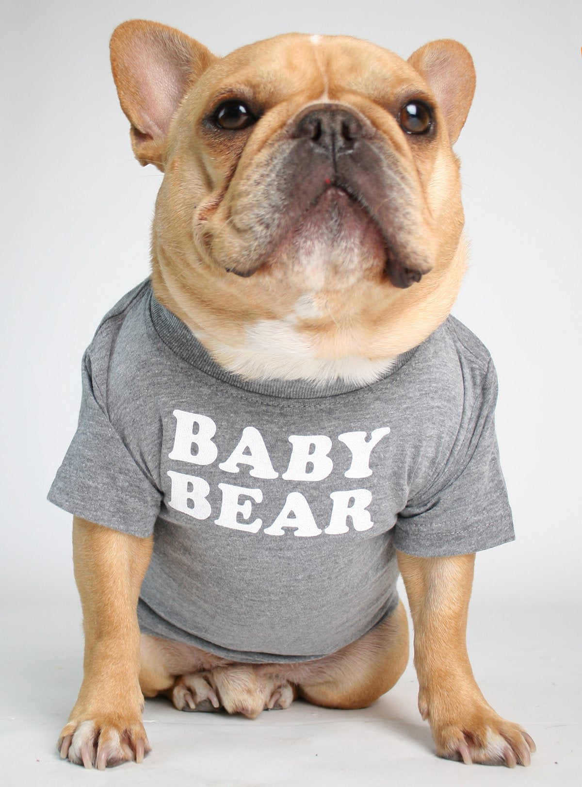 Mama Bear + Baby Bear Matching T-Shirt Set
