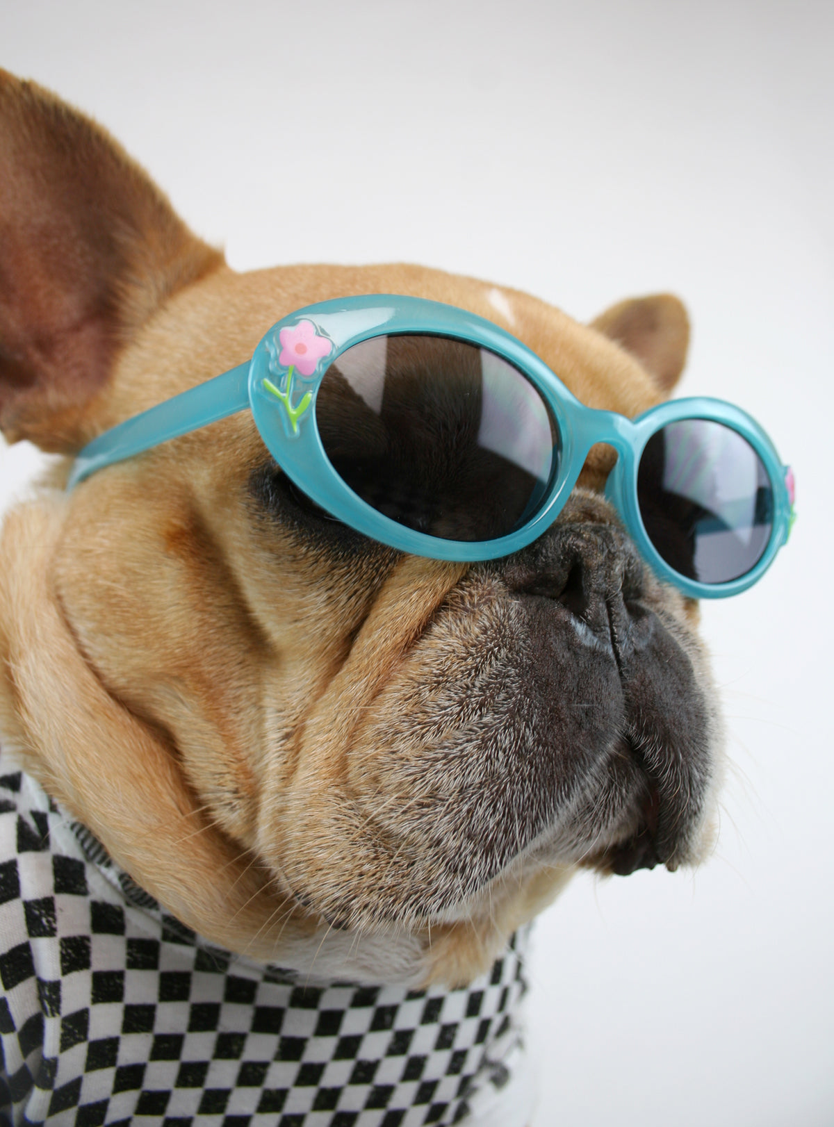 Flower Child Sunglasses