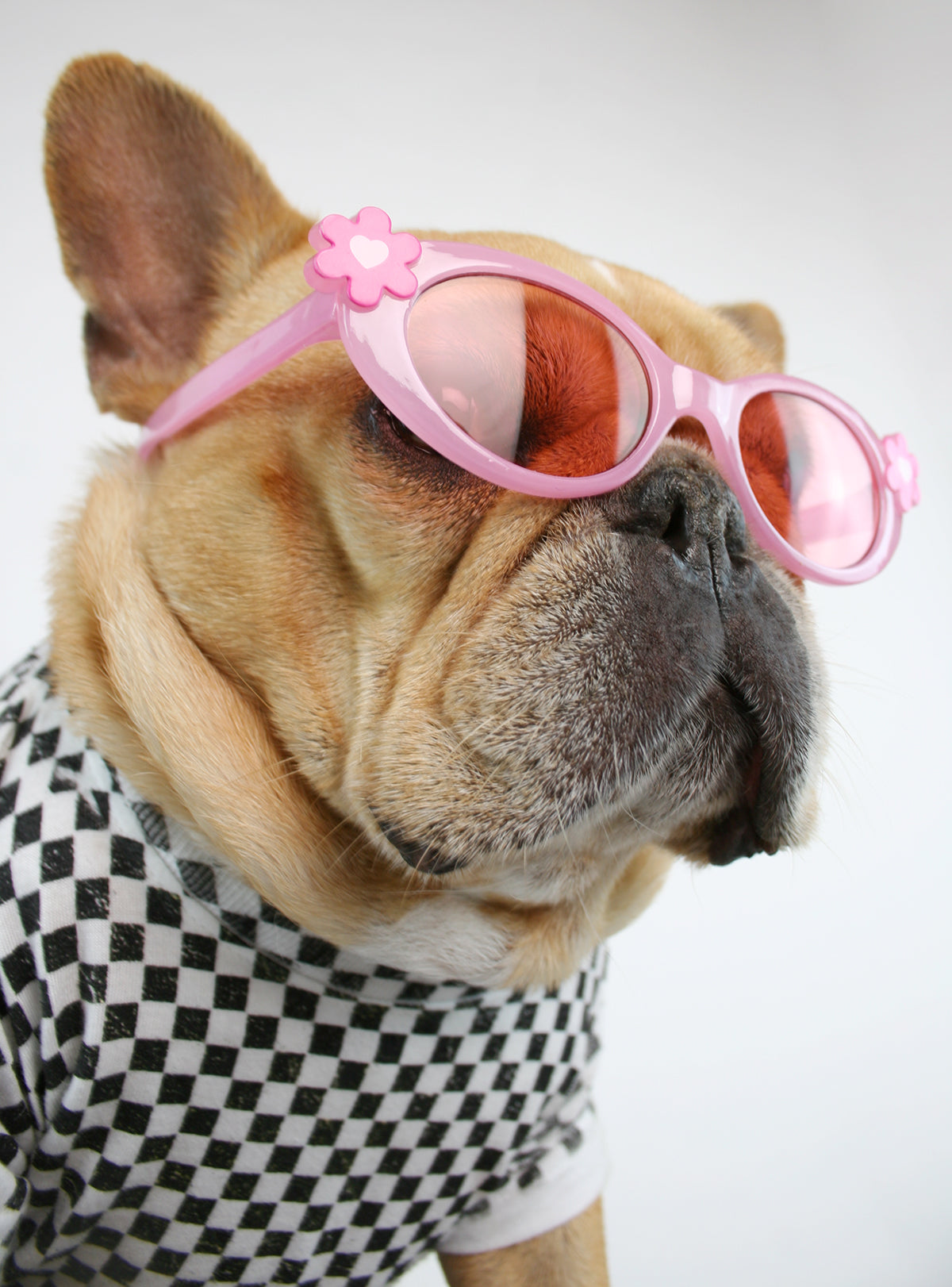 Flower Child Sunglasses