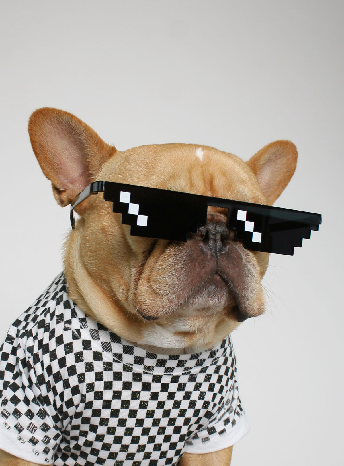 Arcade Dreams Sunglasses