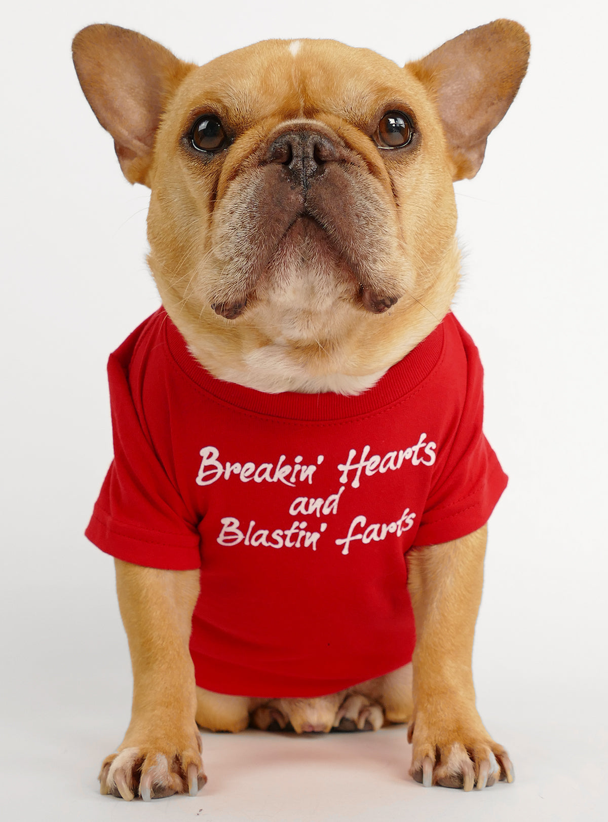 Breakin&#39; Hearts &amp; Blastin&#39; Farts Dog Tee