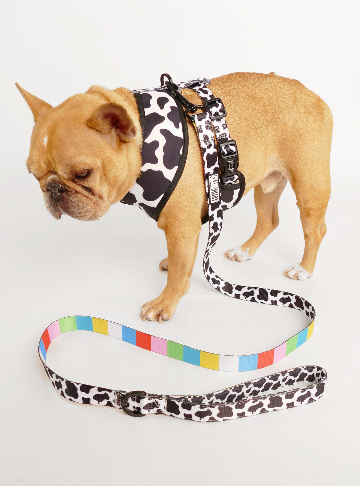 The Cow TV Reversible Harness