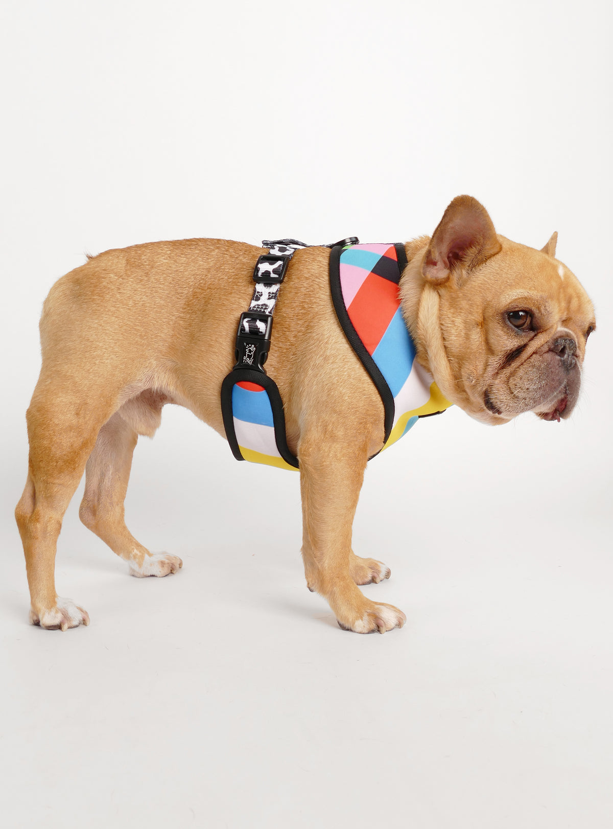 The Cow TV Reversible Harness