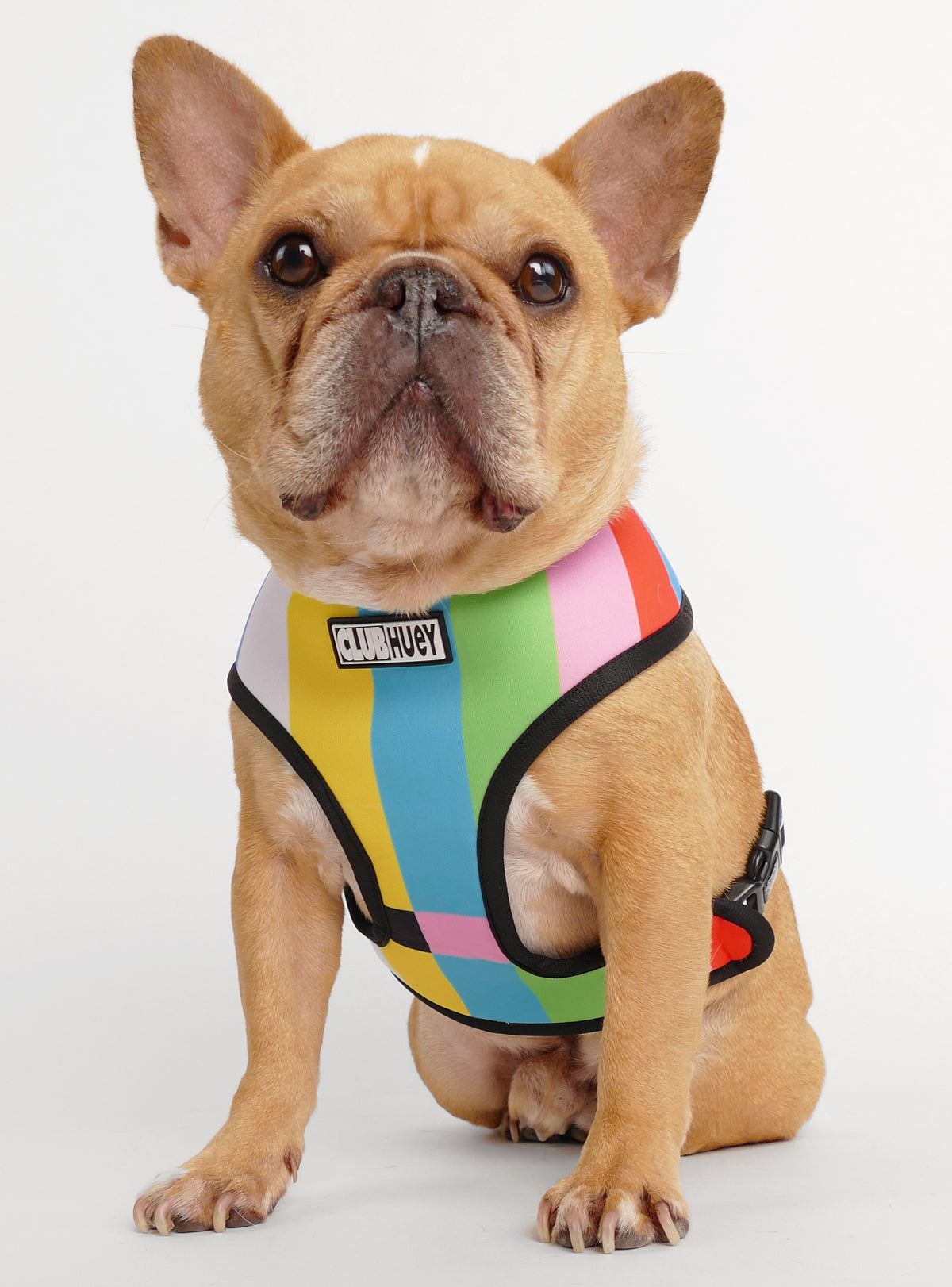 The Cow TV Reversible Harness