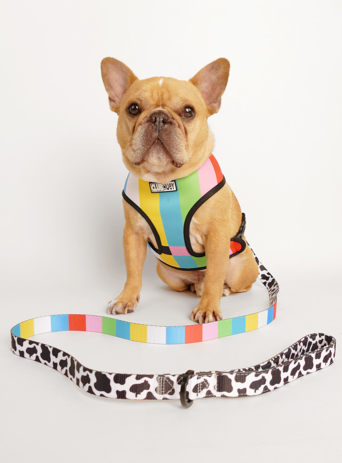The Cow TV Reversible Harness