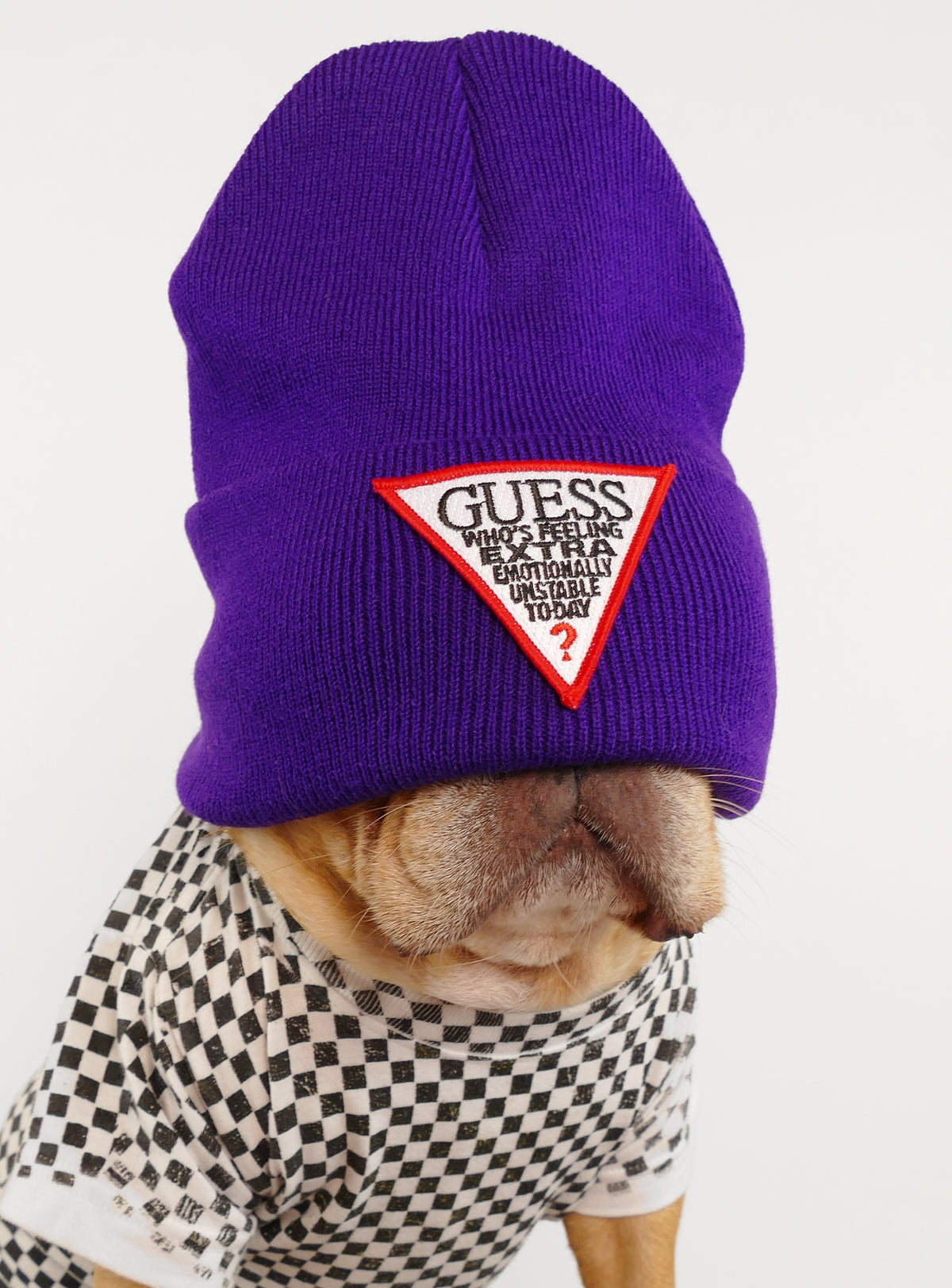 Guess Who Beanie