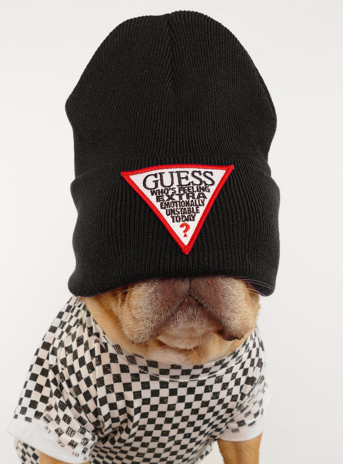 Guess Who Beanie