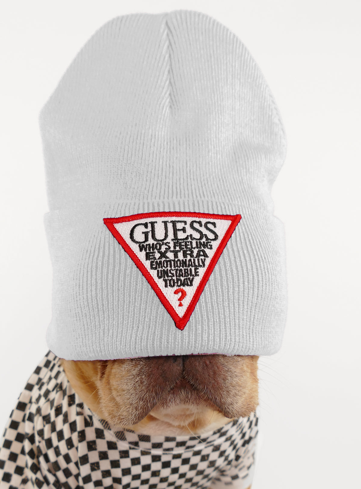 Guess Who Beanie