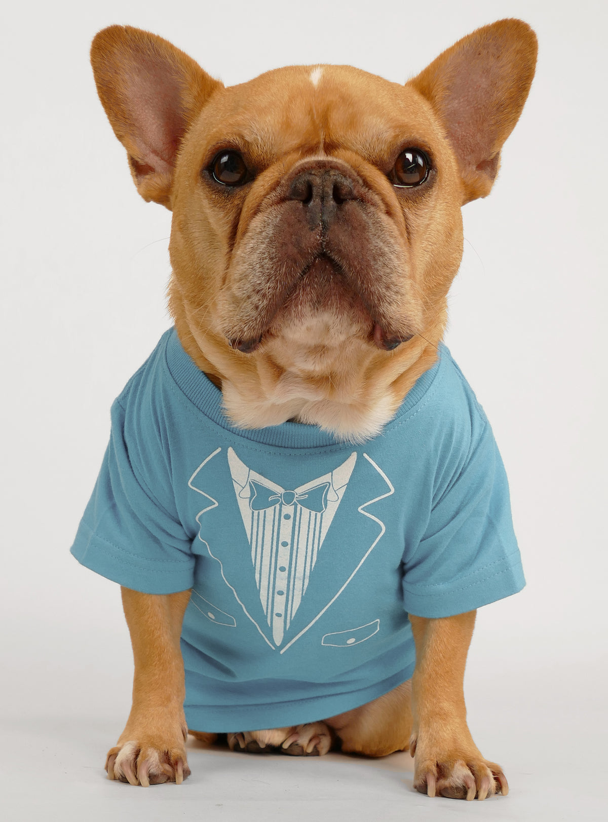 Dumb + Dumber (2-Pack) Dog Tee