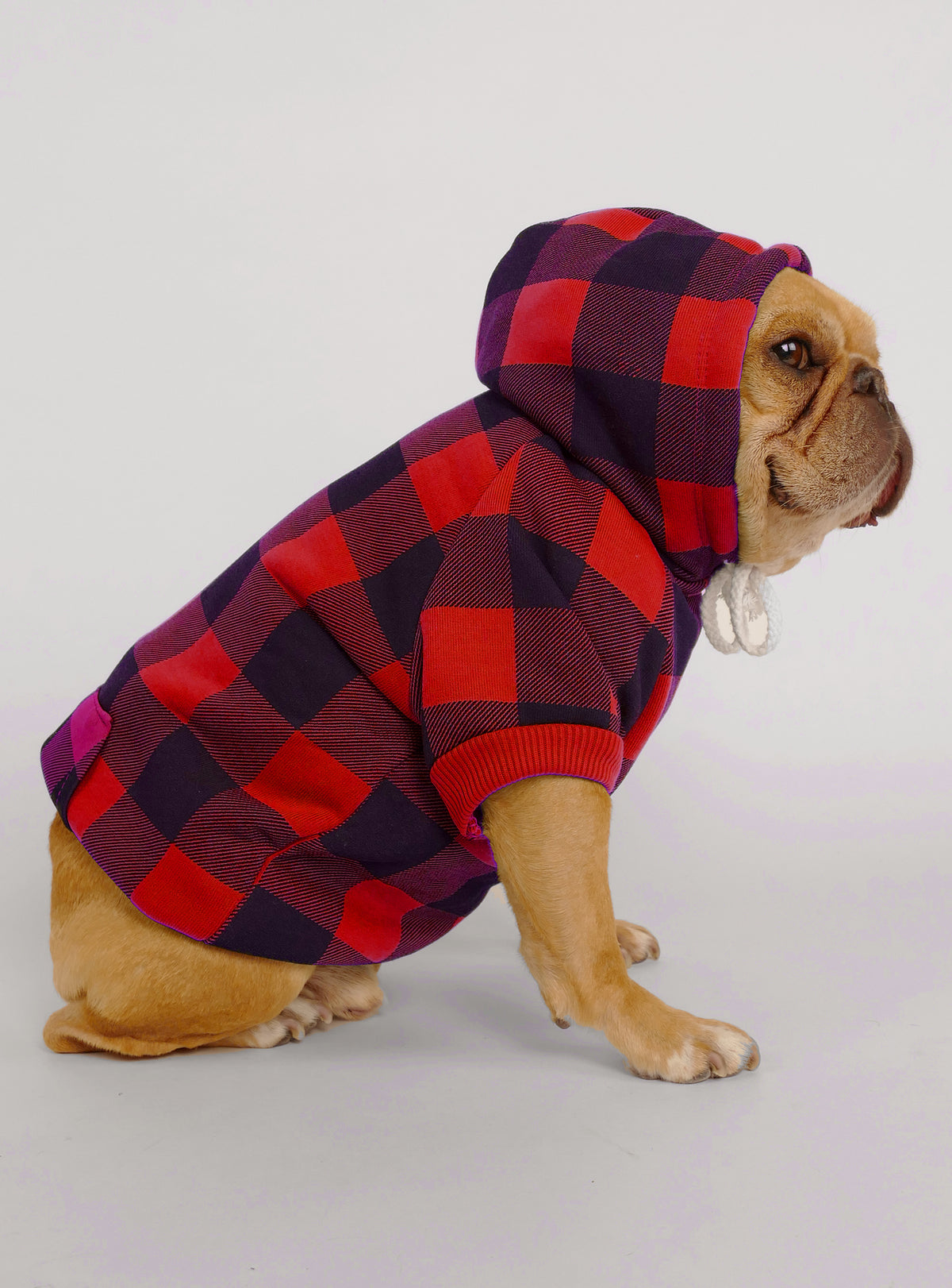 The Lumberjack Dog Hoodie