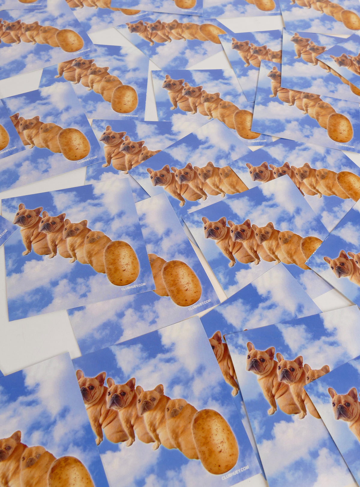 Animorphs Potato Sticker