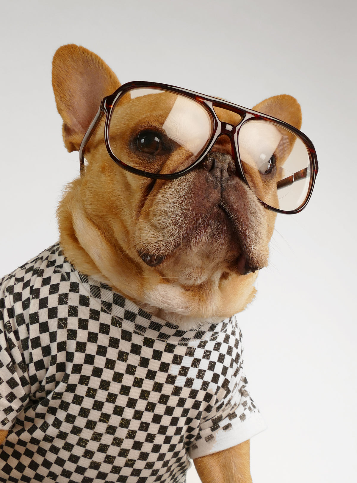 The Tennis Pro Glasses