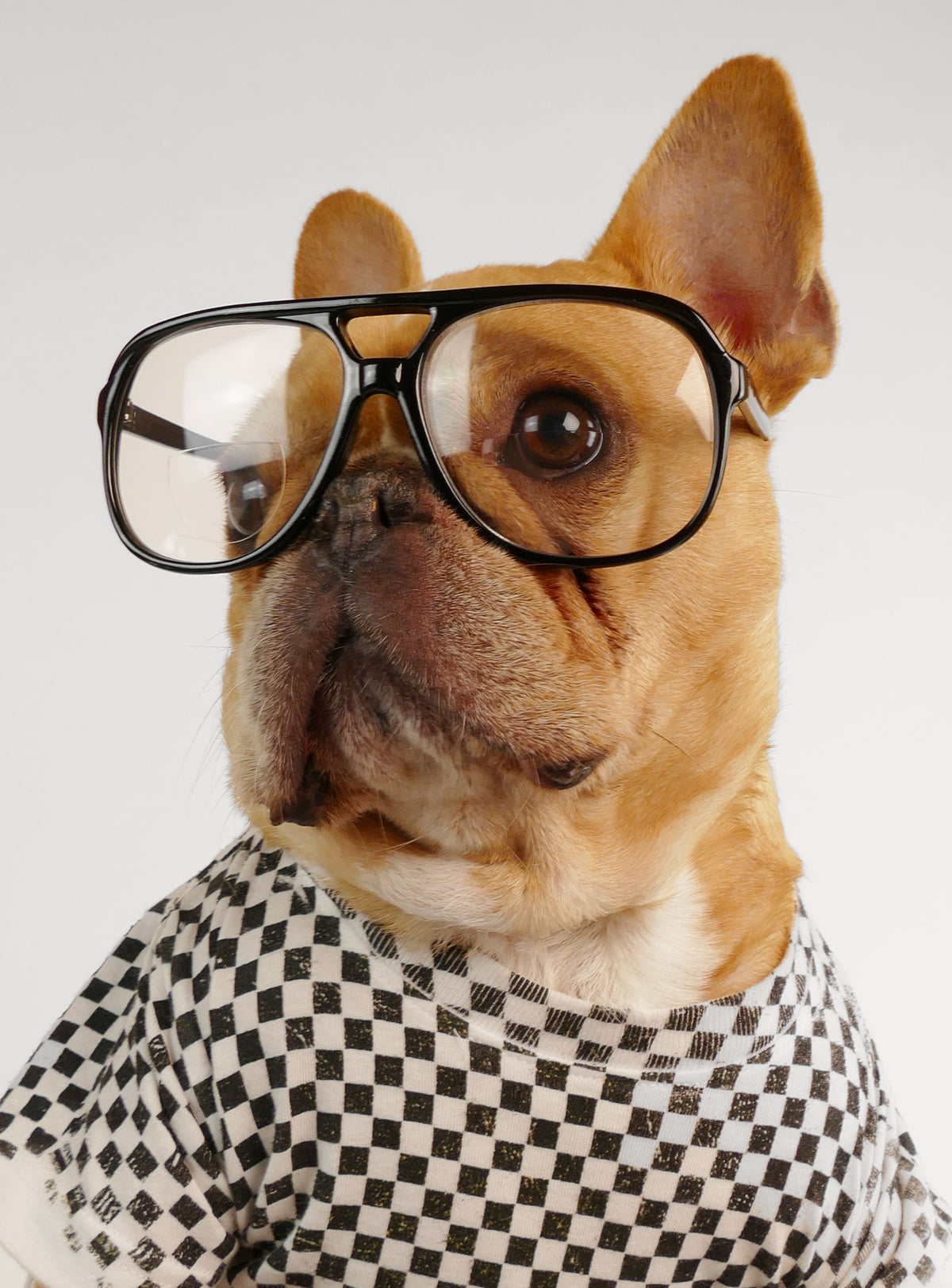 The Tennis Pro Glasses