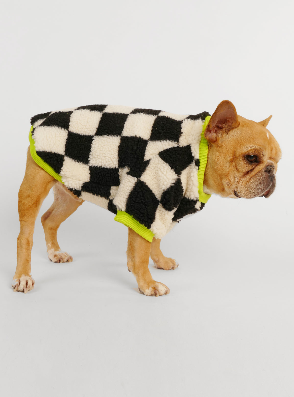 The Finish Line Dog Sweater