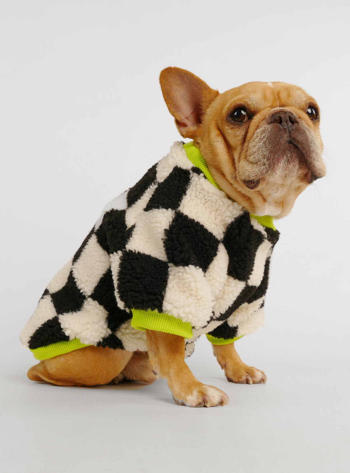 The Finish Line Dog Sweater