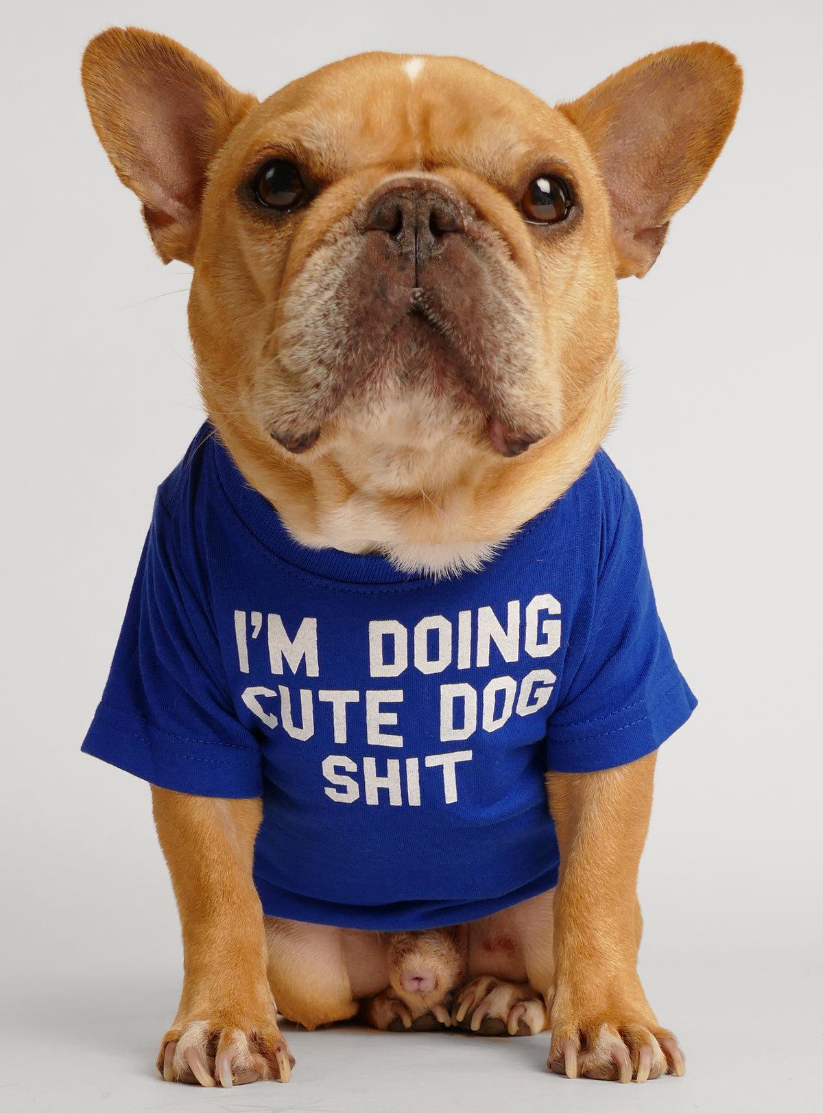 I&#39;m Doing Cute Dog Stuff Dog Tee
