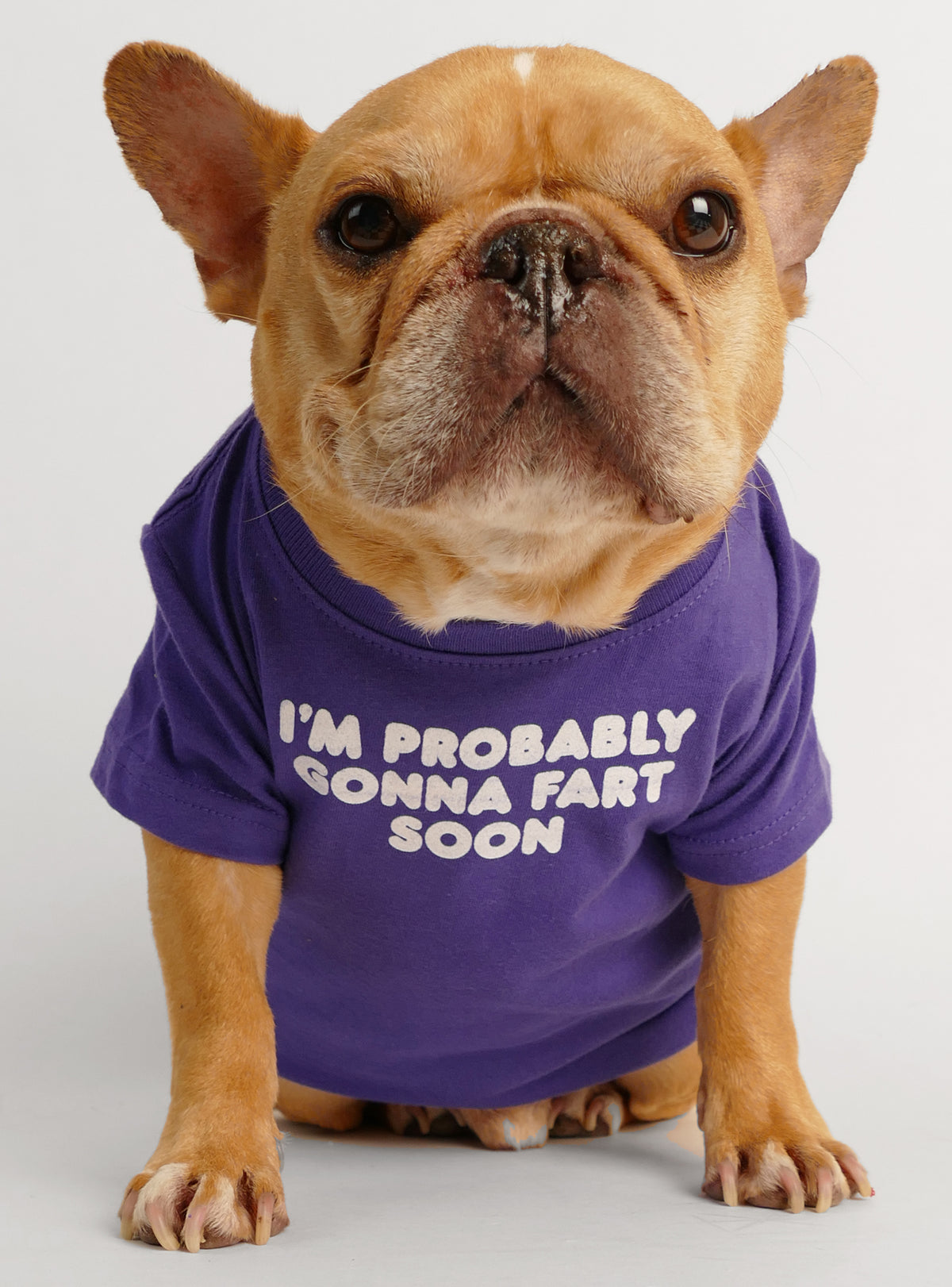 I&#39;m Probably Gonna Fart Soon Dog Tee