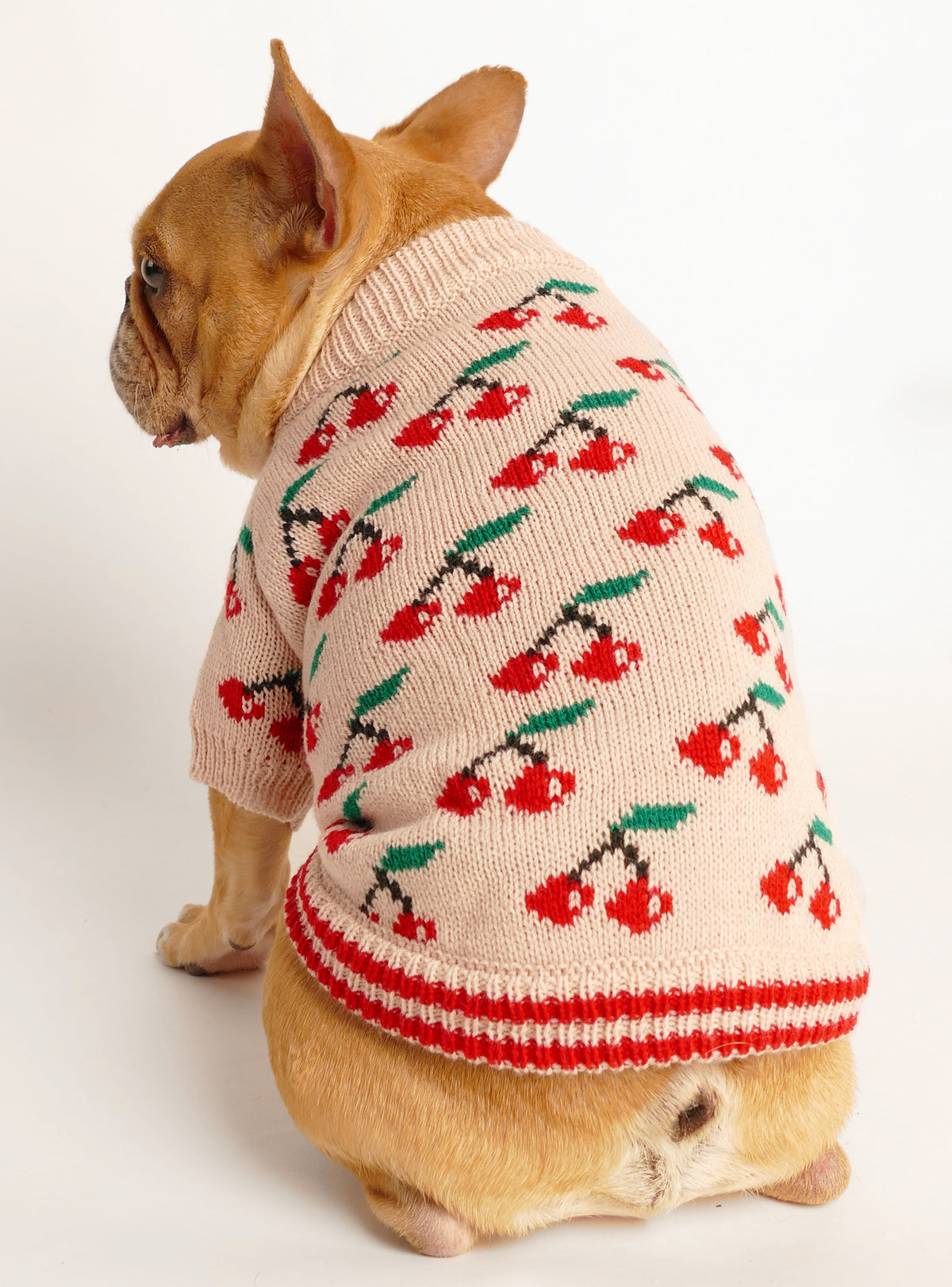 Wild Cherry Dog Sweater