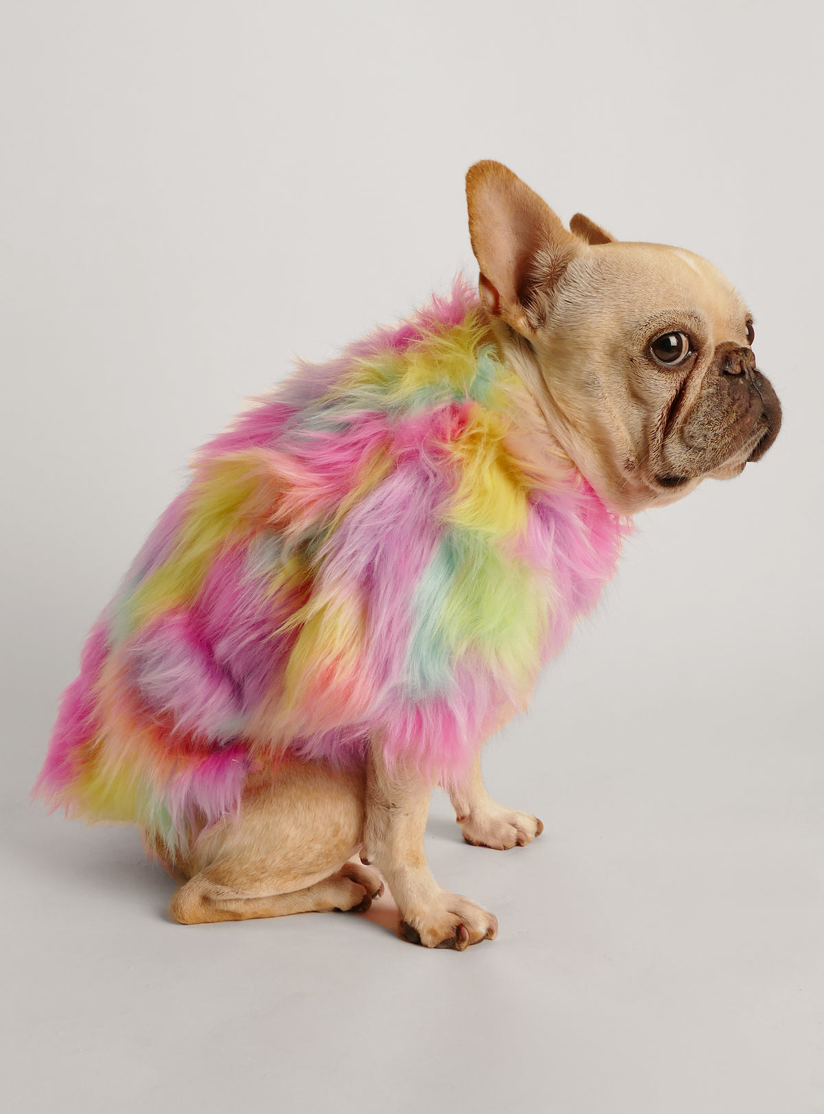 Studio 54 Dog Sweater