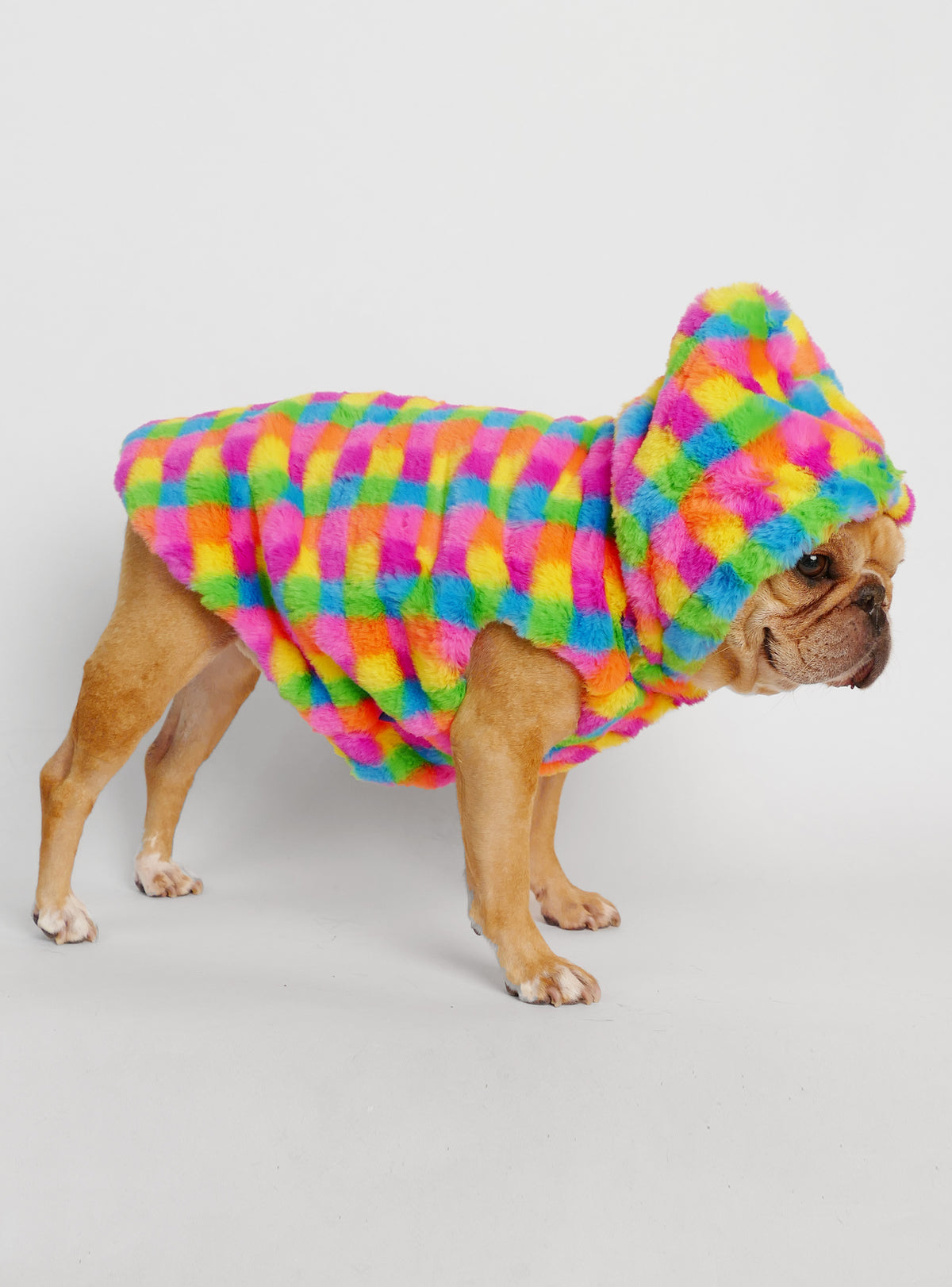Technicolor Dog Hoodie