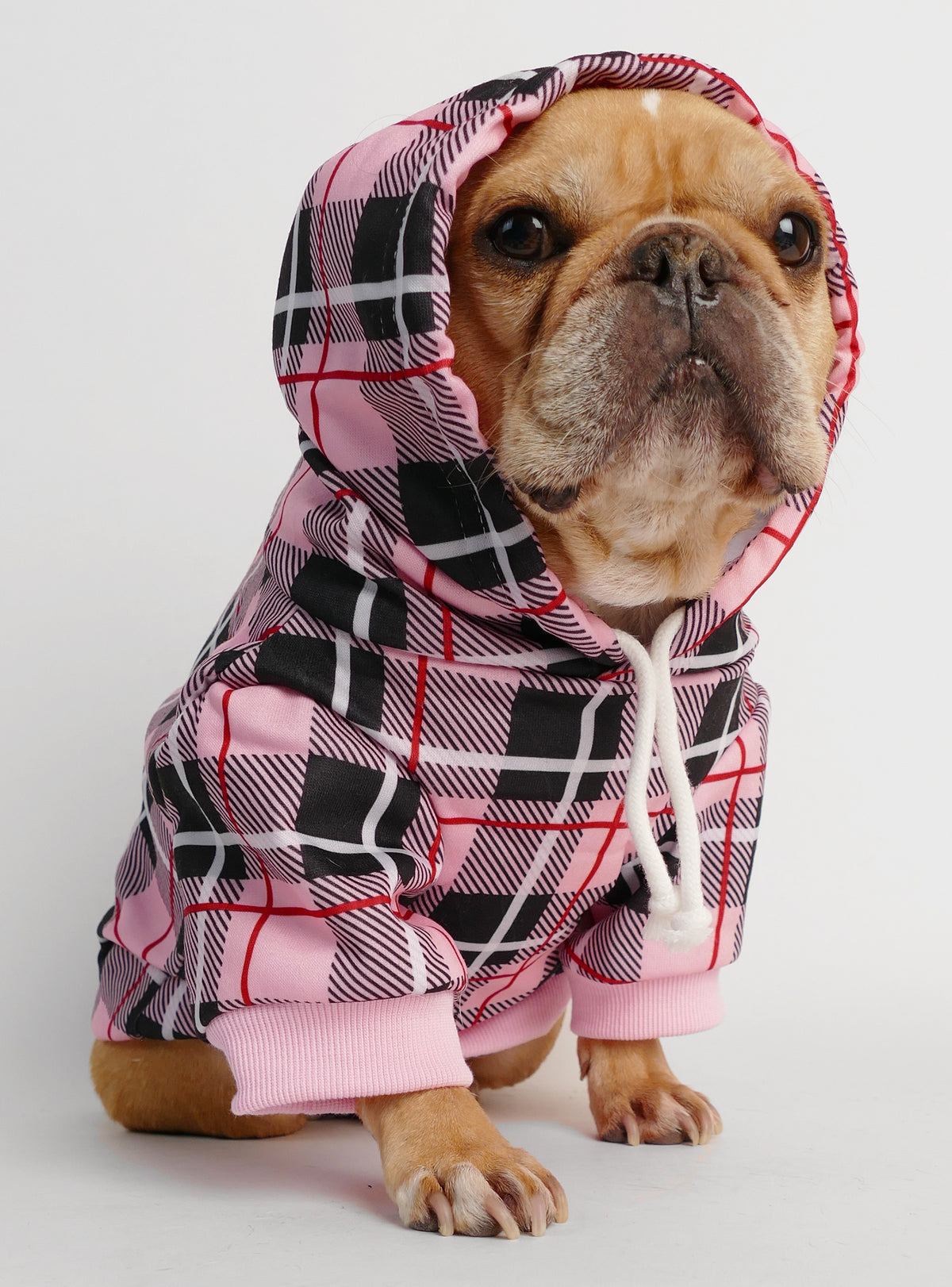 The London Dog Hoodie