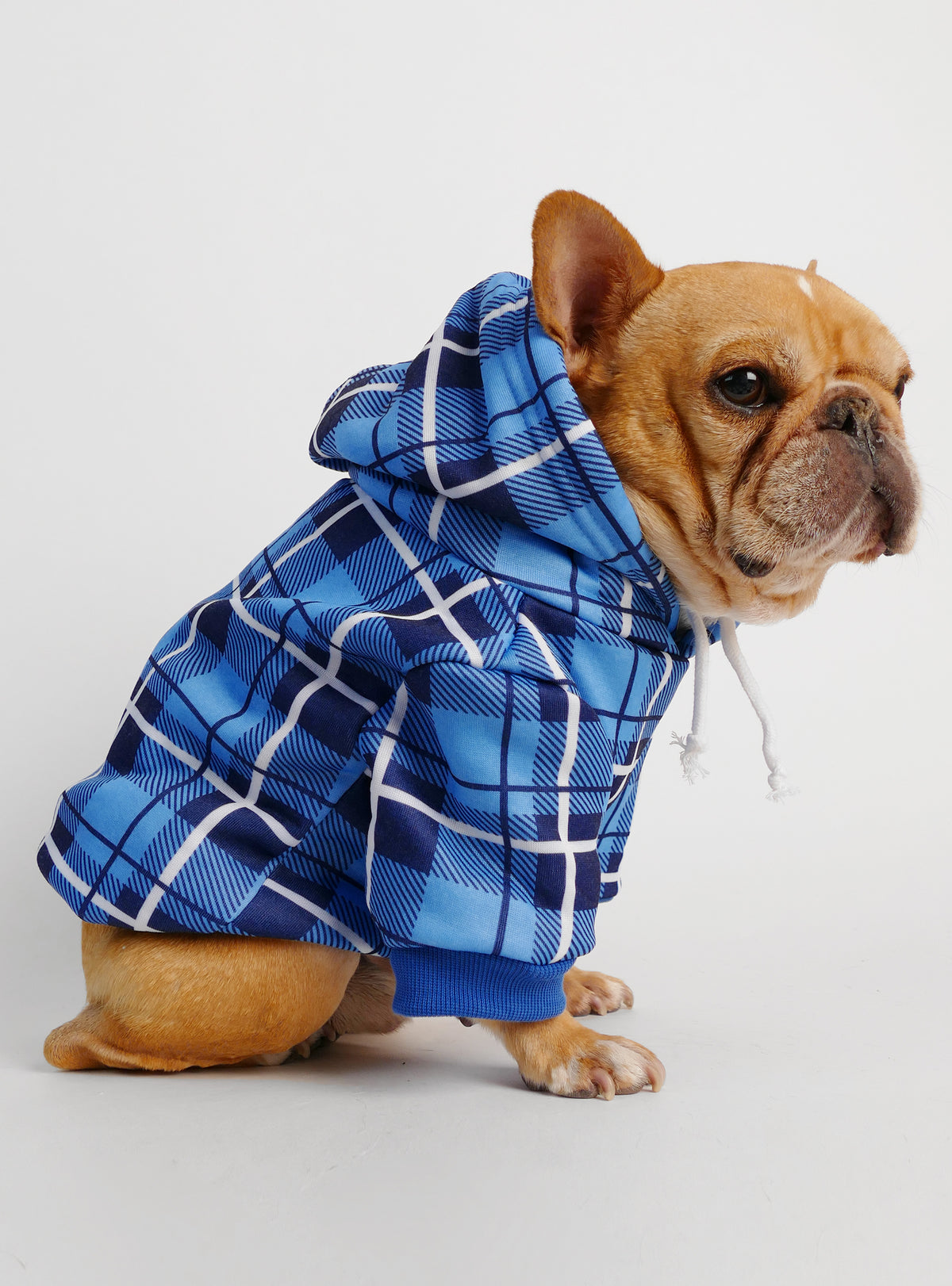 The London Dog Hoodie