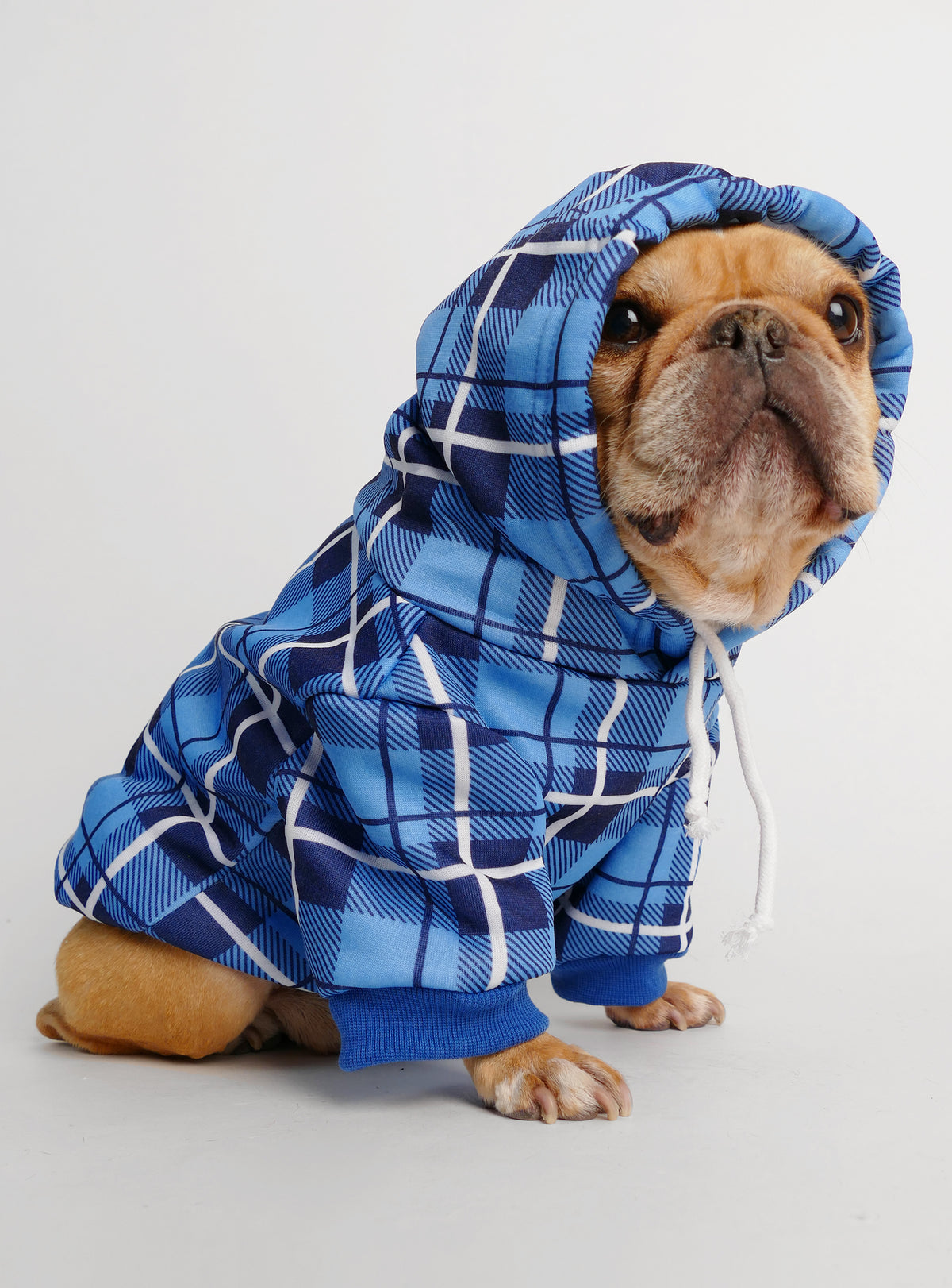 The London Dog Hoodie