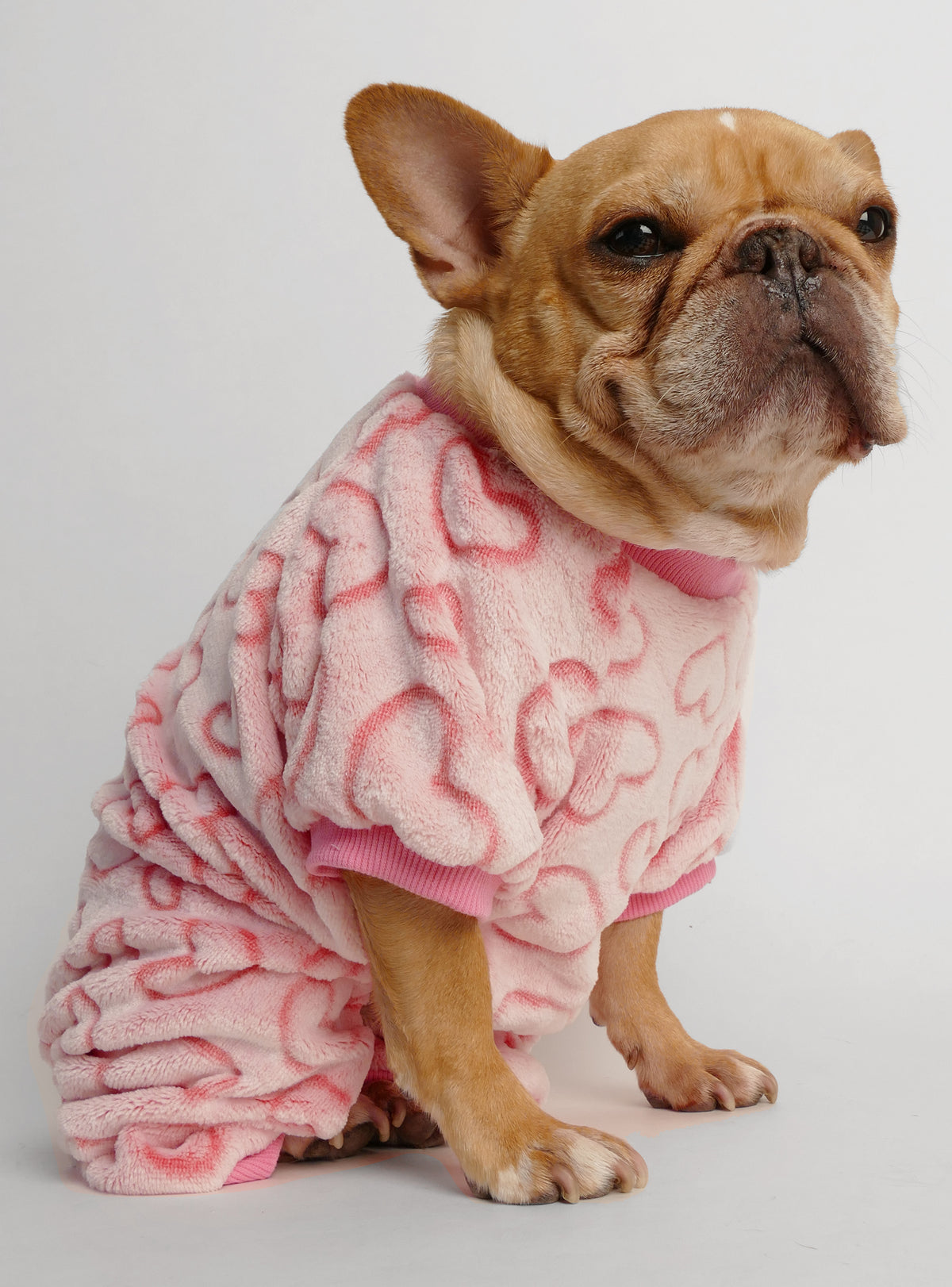 Modern Love Dog Pajamas Jumpsuit