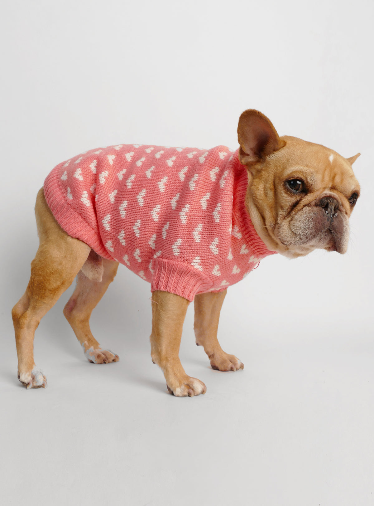 Happy Hearts Dog Sweater