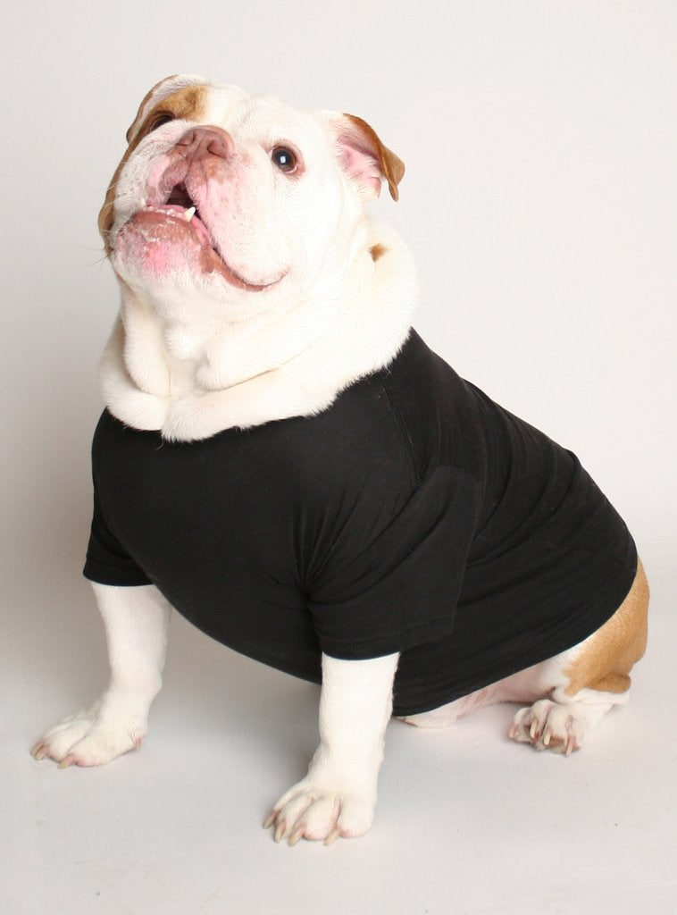 I Farted In Mom&#39;s Face Dog Tee