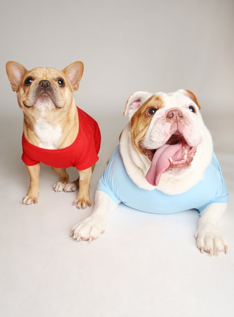 Mama&#39;s Boy Dog Tee