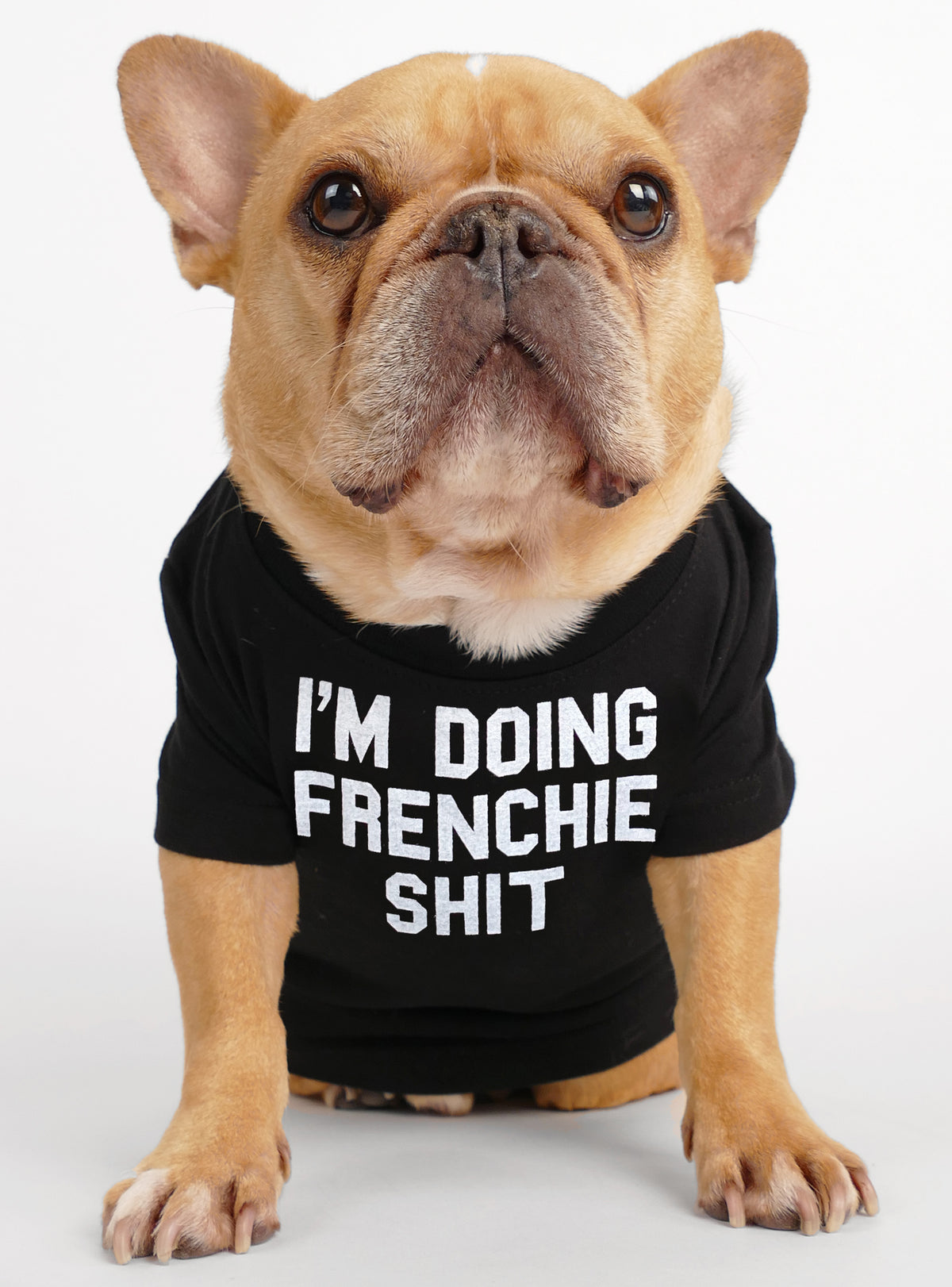 I&#39;m Doing Dog Mom + Frenchie Stuff Matching T-Shirt Set