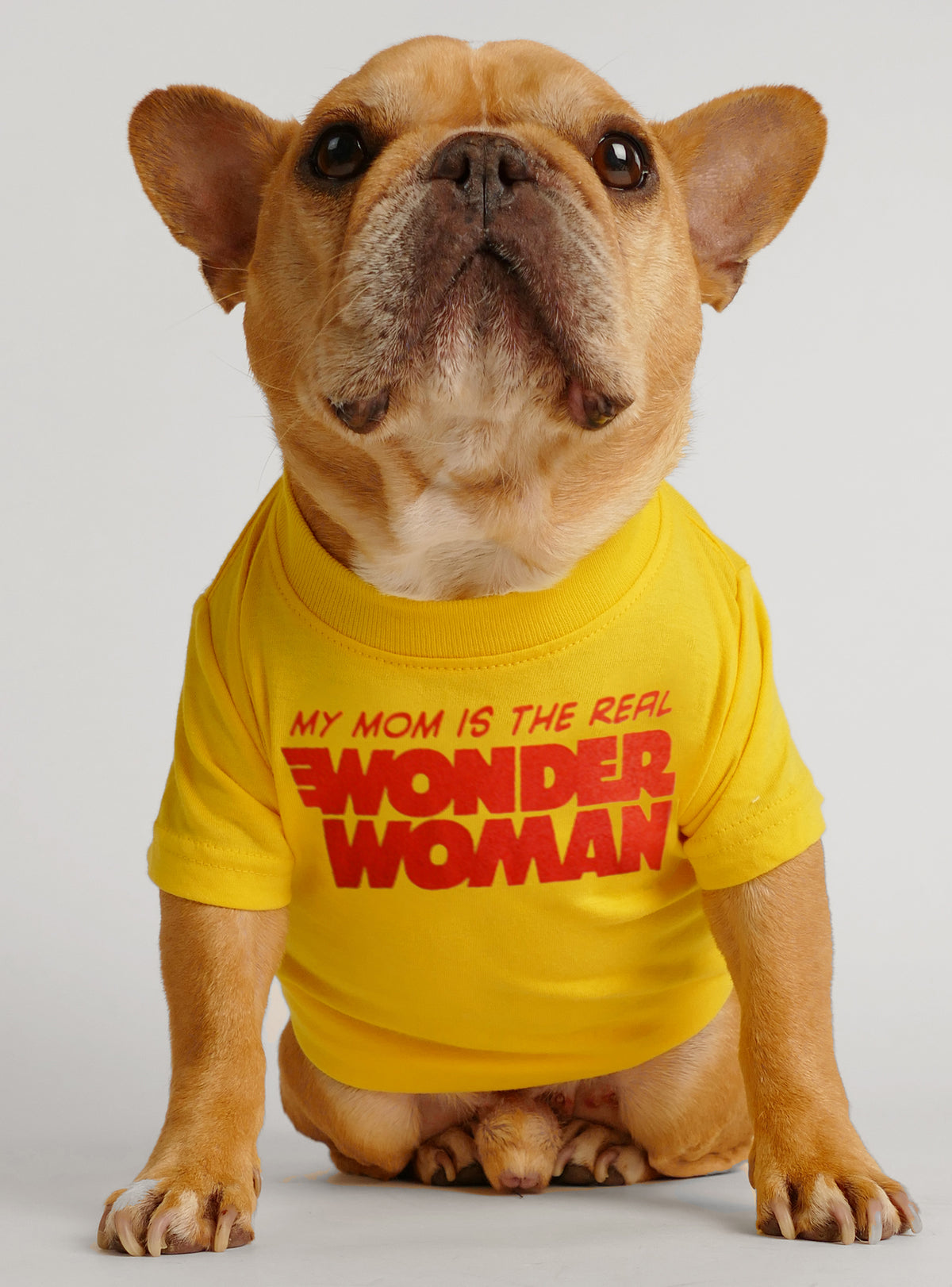 Wonder Mom Dog Tee